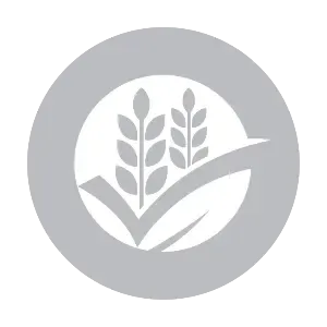 corn-icon